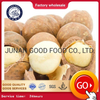 Macadamia Nuts