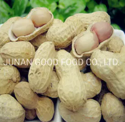 What Peanut Butter Has Xylitol