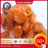 Dried Kumquat Red Color