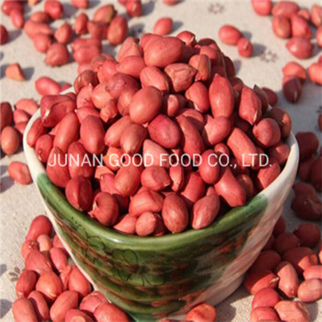 Red Skin Peanut