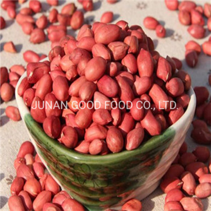 Red Skin Peanut