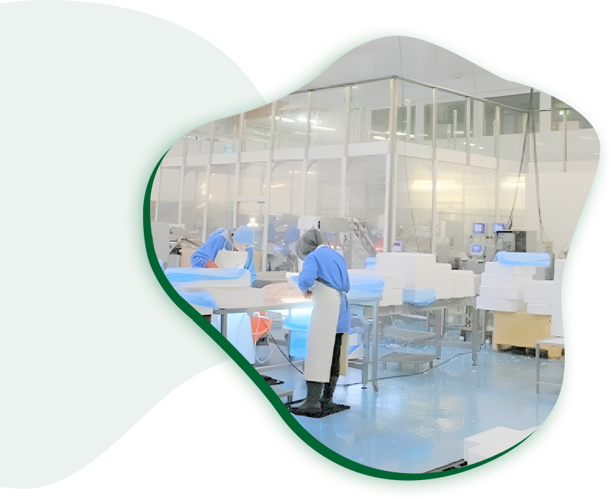 Professional Safety Grade Food Manufacturer