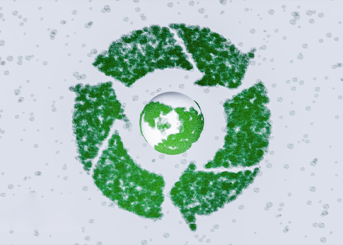Sustainability for Healthy Food