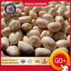 Blanched Peanut Kernels