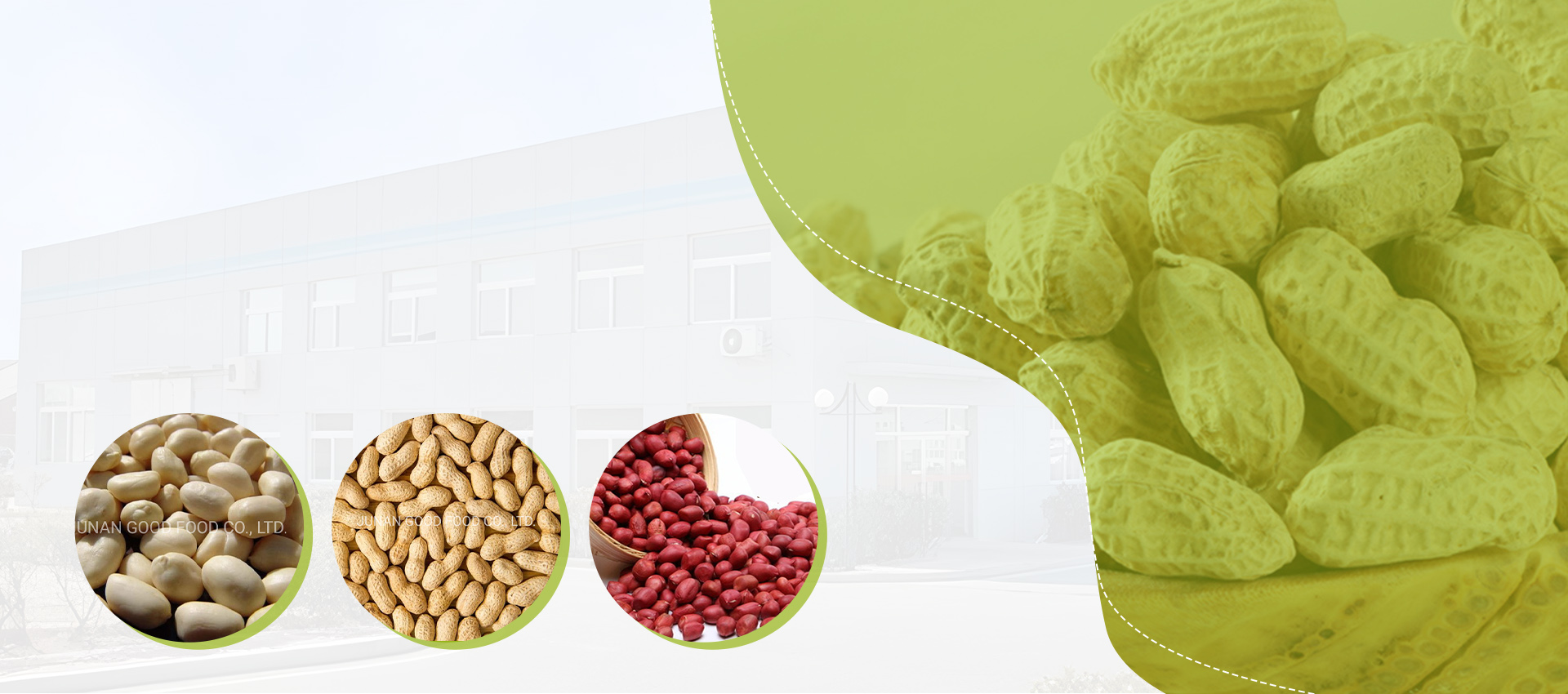 Peanut, Macadamia & Dried Fruits Manufacturer