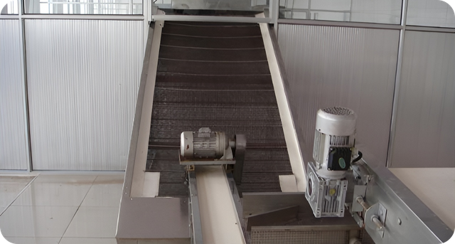 Peanut & Dried Fruits Manufacturing Facility