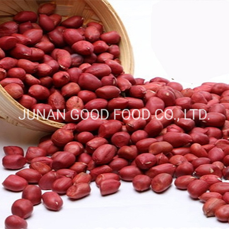 Red Skin Peanut