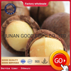 Macadamia Nuts
