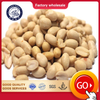 Blanched Peanut Kernels
