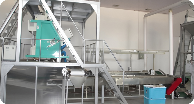 Peanut & Dried Fruits Manufacturing Facility