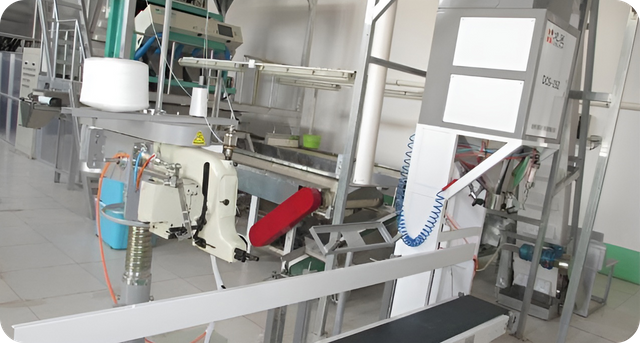 Peanut & Dried Fruits Manufacturing Facility