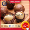 Macadamia Nuts