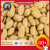 Blanched Peanut Kernels