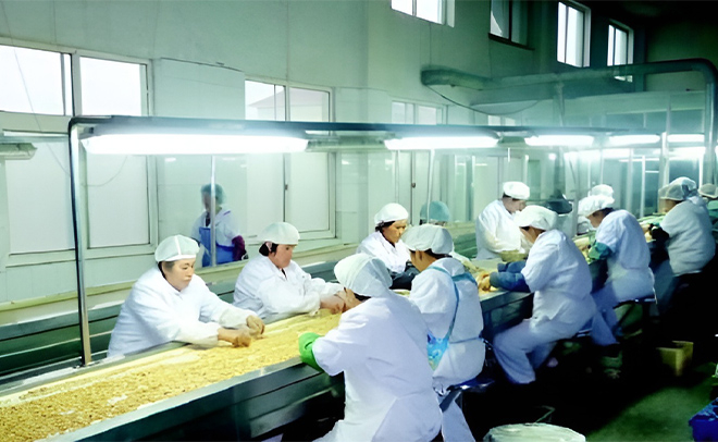 Peanut, Macadamia & Dried Fruits Manufacturing Process